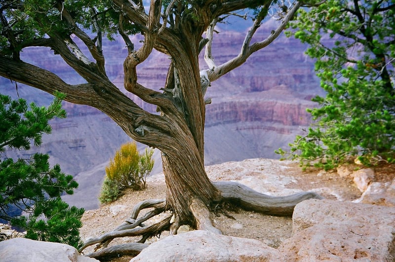 Grand Canyon Rim-to-Rim Trail, USA
